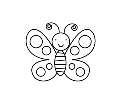 a butterfly
